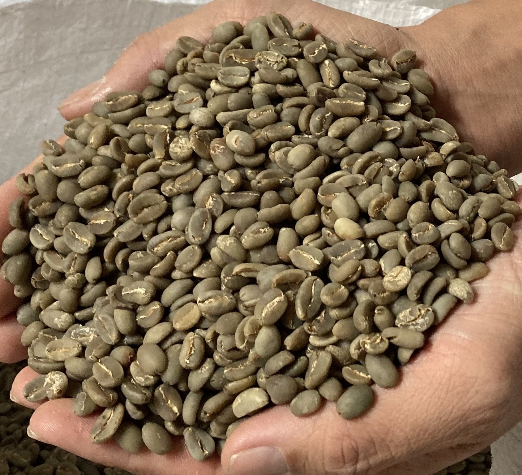 Page 4 Single Origin